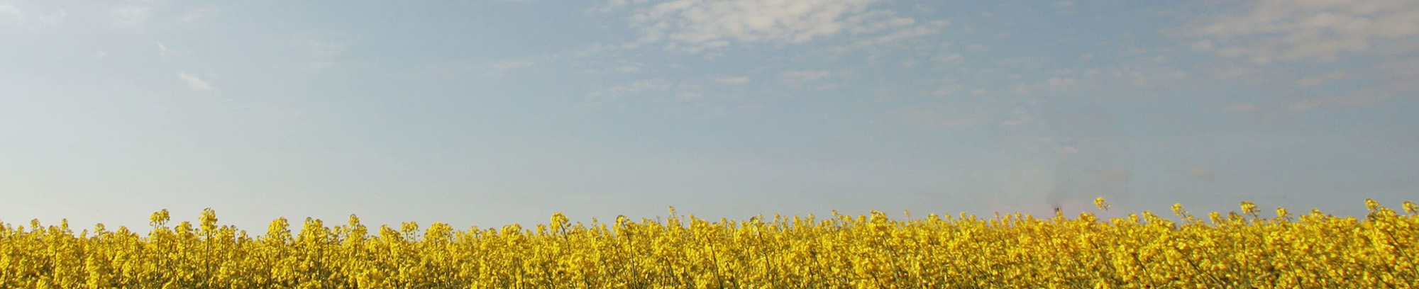 Apply for a sustainability grant